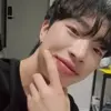술식