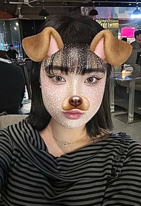 스트리머 로고