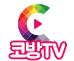 스트리머 로고