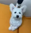 bj뭉