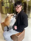 동규v