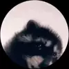 옌스