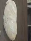 wooooojoo