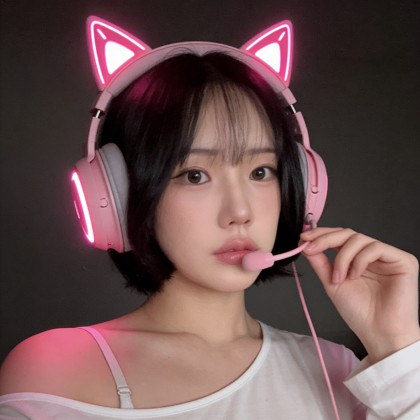 스트리머 로고