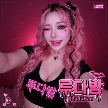 스트리머 로고