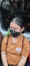 현지고
