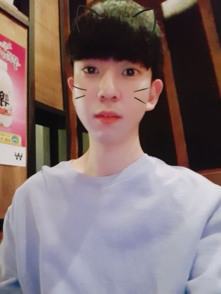 스트리머 로고
