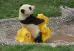 곰_심