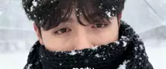 피렐리v