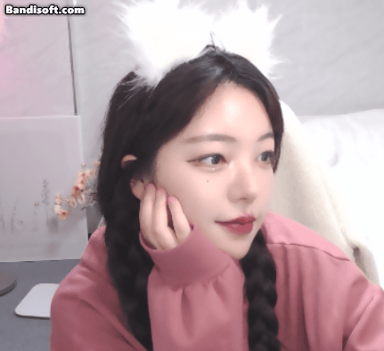 스트리머 로고