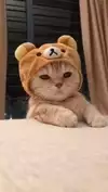맹밍-