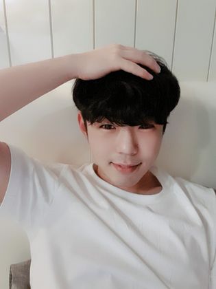 스트리머 로고