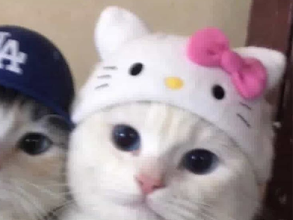 스트리머 로고