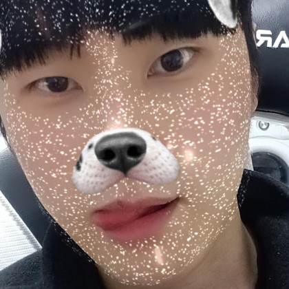 스트리머 로고