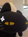 曉夜