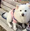 영현ㅋㅋ