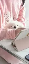 청아_