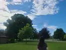 윤이호호