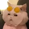 연뿌뿌