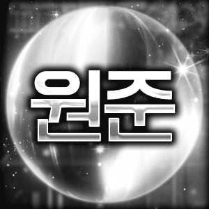 스트리머 로고