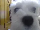 오륙오륙