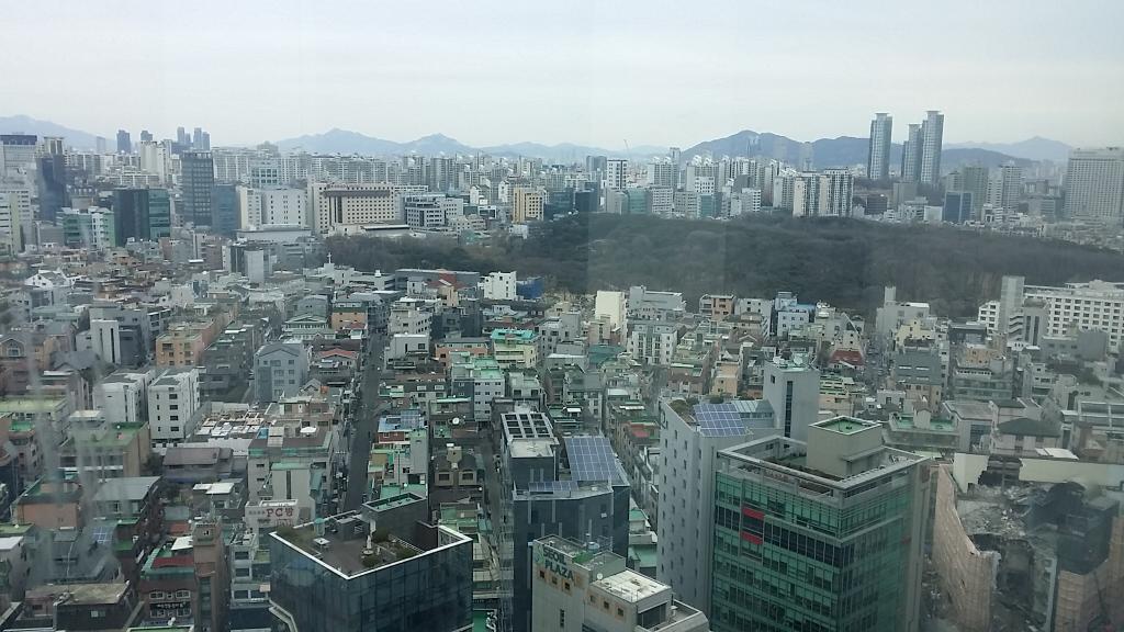 스트리머 로고