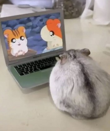 스트리머 로고